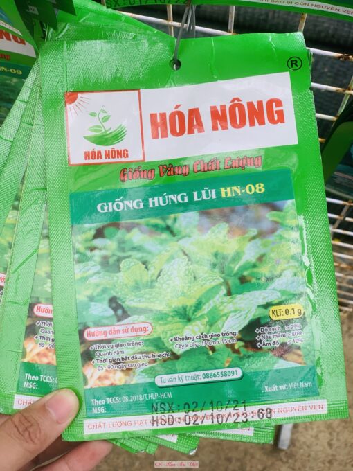 Hat Giong Hung Lui Hn08 Da Nang