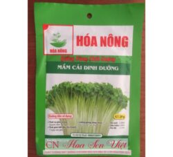 Hat Giong Mam Cai Dinh Duong