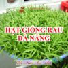 Hat Giong Rau Da Nang