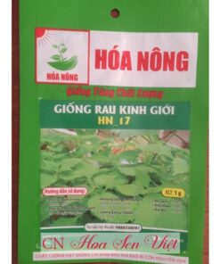 Hat Giong Rau Kinh Gioi Da Nang