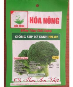 Hat Giong Sup Lo Xanh Hn-82