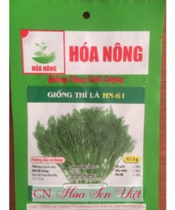 Hat Giong Thi La Hn61 Da Nang