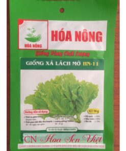 Hat Giong Xa Lach Mo Hn-11 Da Nang