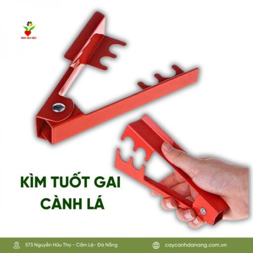 Kim Tuot Gai Canh La Hoasenviet