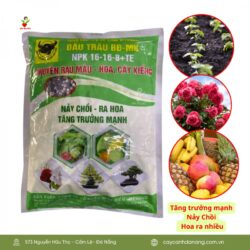 Phan Bon Dau Trau Npk 15 15 15