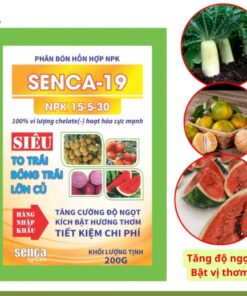 Phan-bon-hon-hop-npk-senca-19