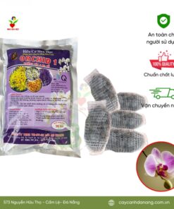 Phan Bon Huu Orchid 1