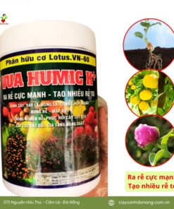 Phan Bon Huu Co Vua Humic K