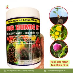 Phan Bon Huu Co Vua Humic K