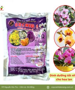 Phan Bon Huu Co Cho Hoa Lan Orchid 1 Da Nang