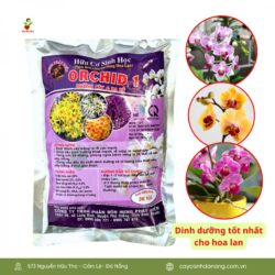 Phan Bon Huu Co Cho Hoa Lan Orchid 1 Da Nang