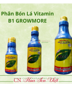 Phan Bon La Vitamin B1 Growmore