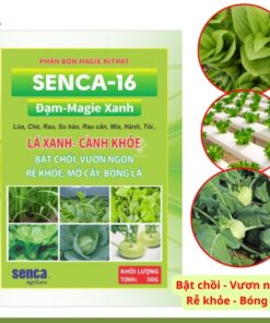 Phan Bon Magie Nitrat Senca-16