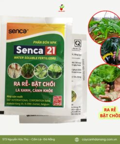 Phan Bon Npk Senca 21