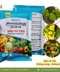 Phan Bon Npk Senca-39 19-19-19