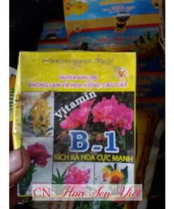 Thuoc Kich Thich Ra Hoa Vitamin B1