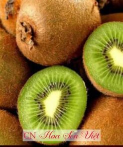 Trái Kiwi