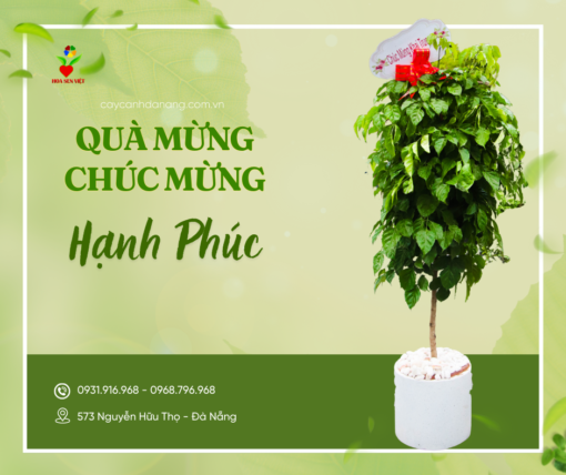 Cây Chúc Mừng Cây Hạnh Phúc