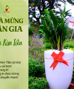 Cây Chúc Mừng Tân Gia Nhà Mới