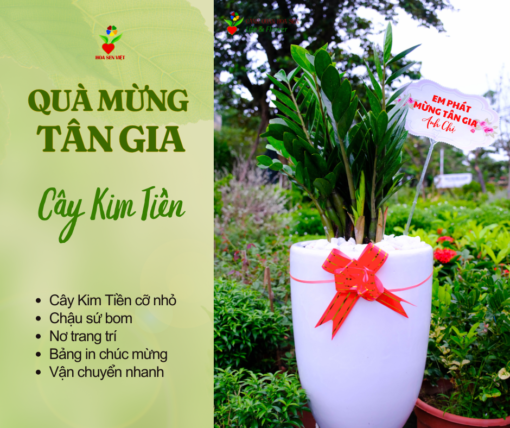 Cây Chúc Mừng Tân Gia Nhà Mới