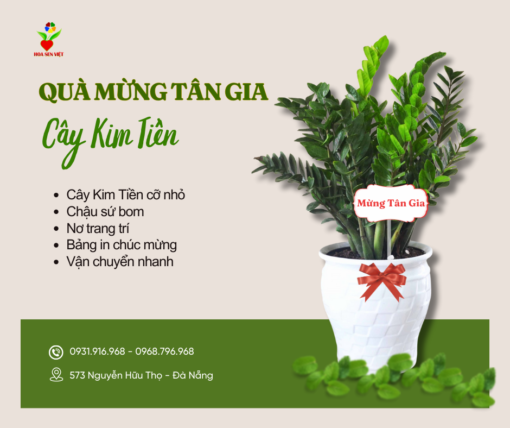 Cây Chúc Mừng Tân Gia Nhà Mới Kim Tiền