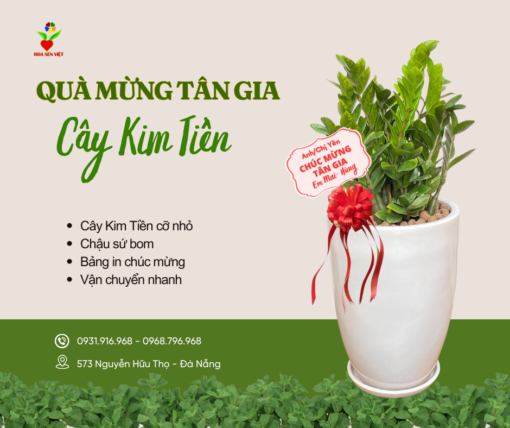 Cây Chúc Mừng Tân Gia ở đà Nẵng