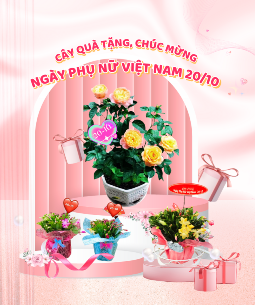 Cây Quà Tặng 20-10 (1)