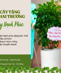 Cây Tặng Chúc Mừng Cây Hạnh Phúc