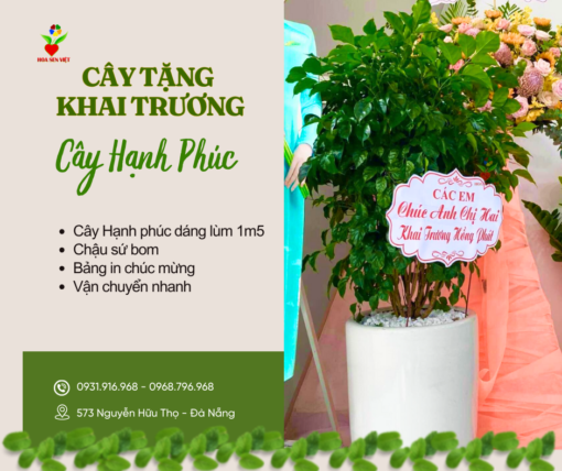 Cây Tặng Chúc Mừng Cây Hạnh Phúc