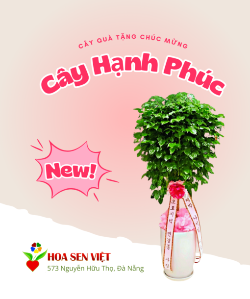 Cây Tặng Chúc Mừng đà Nẵng (4)