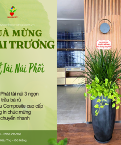 Chậu Cây Tặng Khai Trương Phát Tài Núi