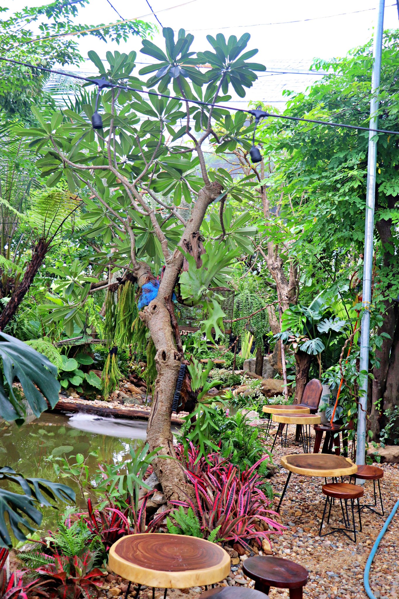 không gian thư giãn quán cafe đẹp ở hòa quý 1