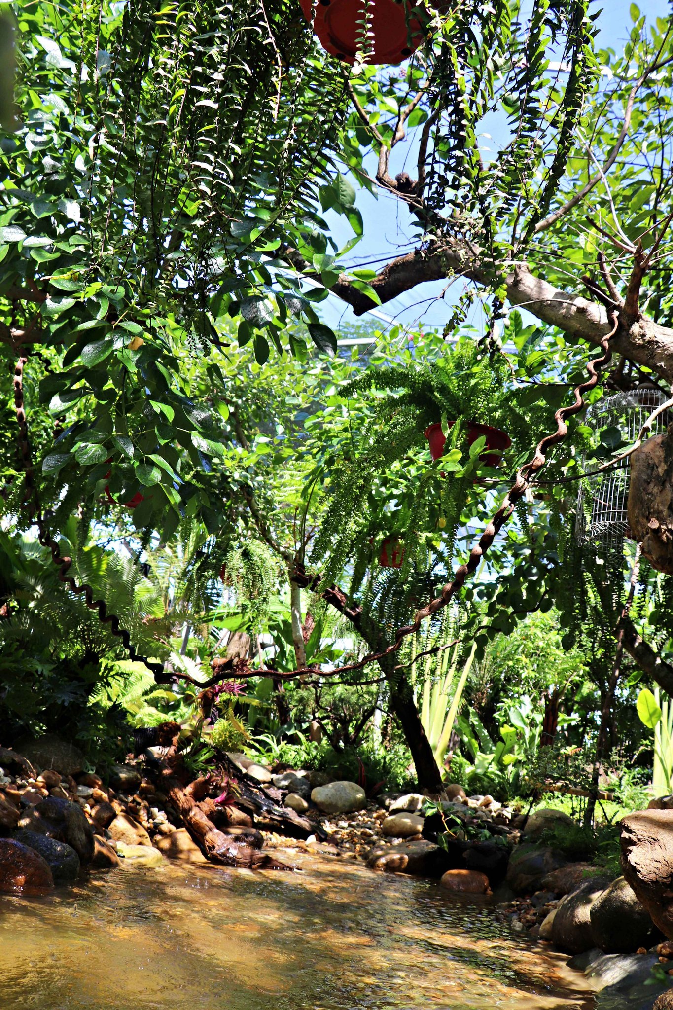 không gian thư giãn quán cafe đẹp ở hòa quý