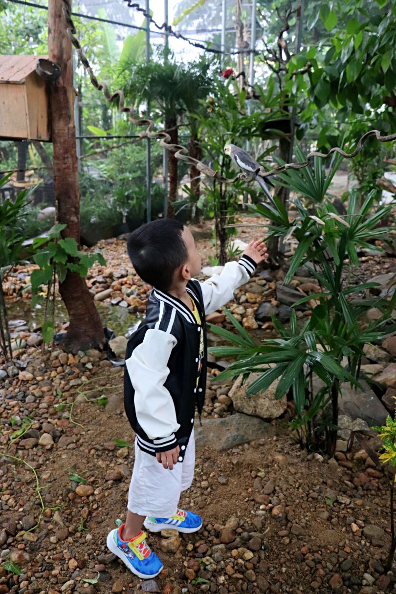 Cà Phê Nhiệt đới đà Nẵng
