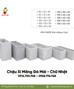 Full-chau-xi-mang-chau-da-mai-chu-nhat-1710499543