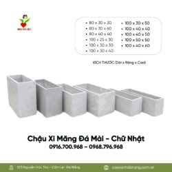 Full-chau-xi-mang-chau-da-mai-chu-nhat-1710499543