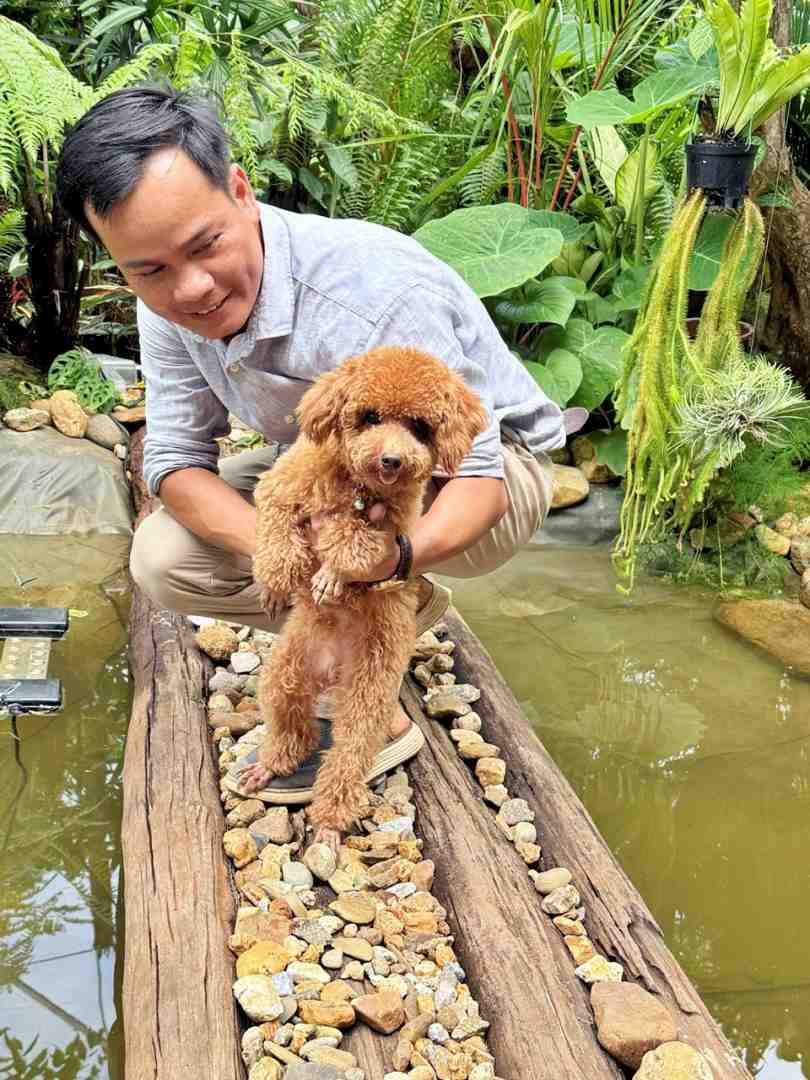 Quán Cà Phê Nhiệt đới đẹp