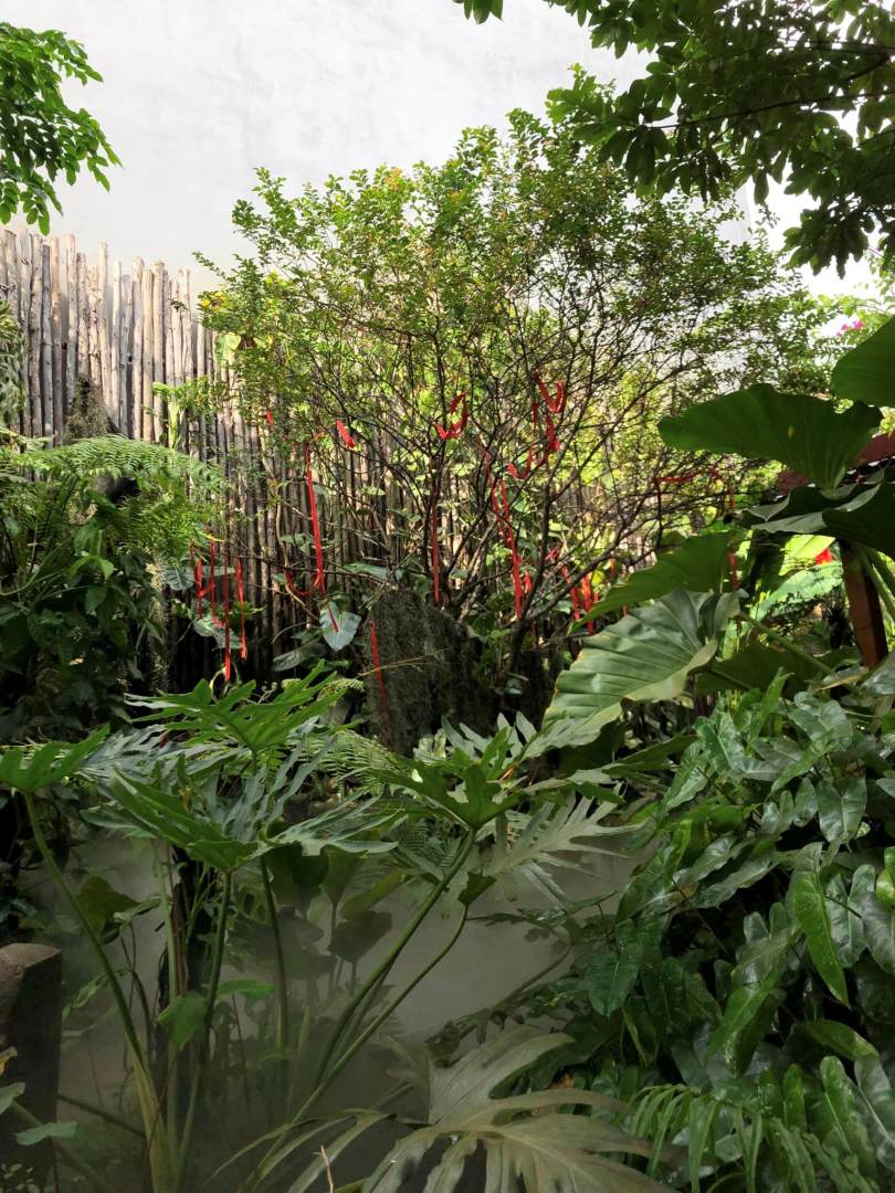 Quán Cafe Nhiệt đới đà Nẵng 9