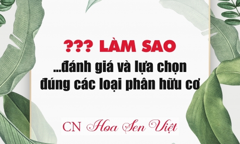 Cac-tieu-chuan-can-thiet-de-chon-phan-bon-huu-co-chat-luong