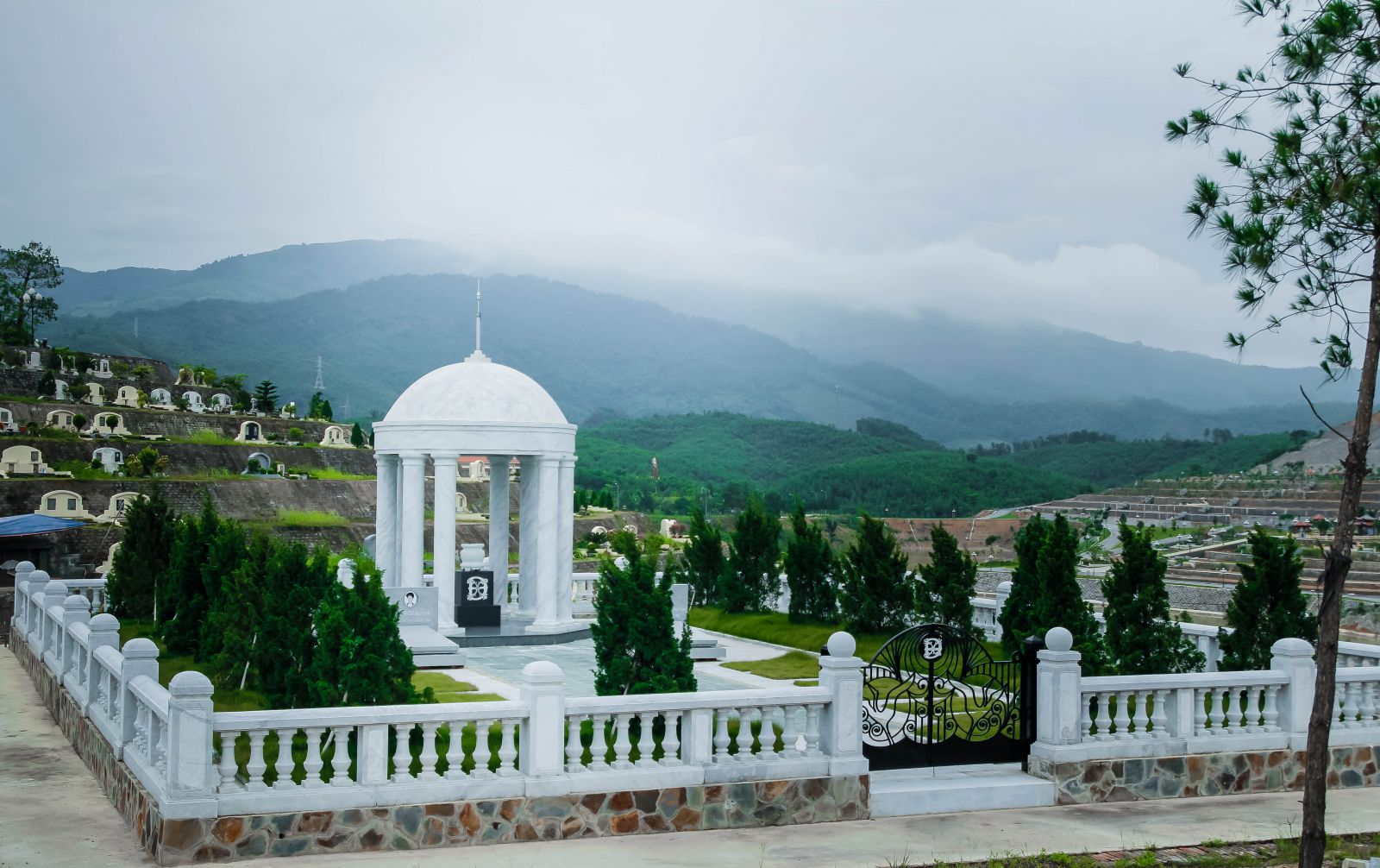 Cay Bach Khong Nen Trong Trong Nha