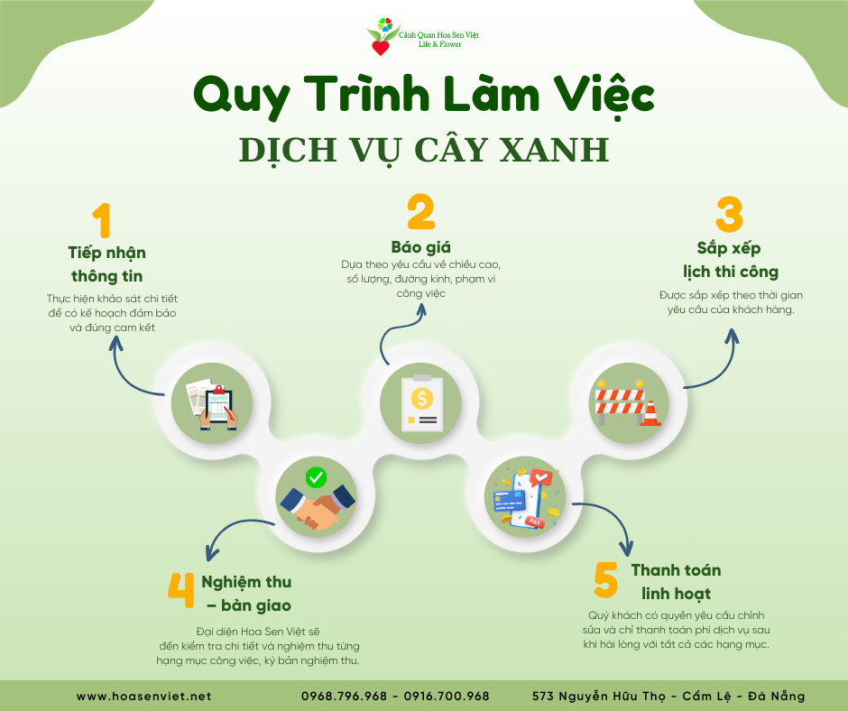 Cay-canh-da-nang (1)