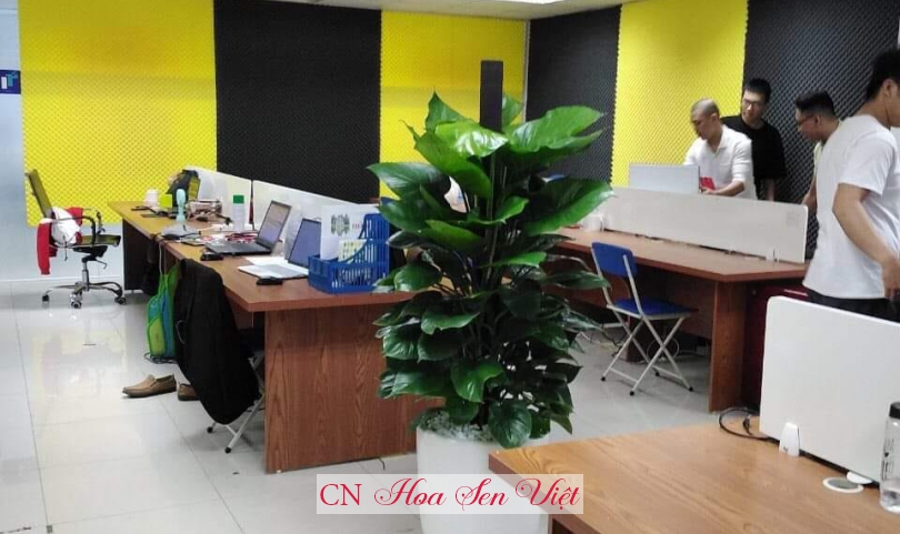 Cho Thue Cay Van Phong Da Nang 10