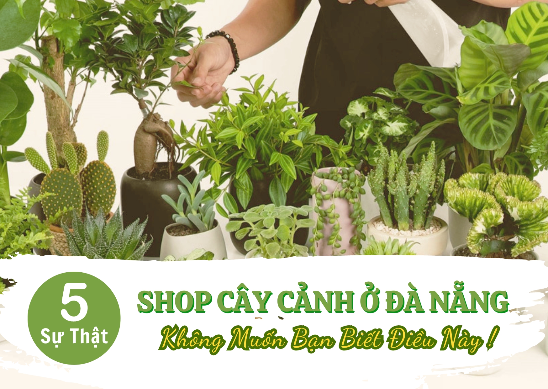 Full-5-su-that-ve-cac-shop-cay-canh-o-da-nang-khong-muon-ban-biet-1711600006