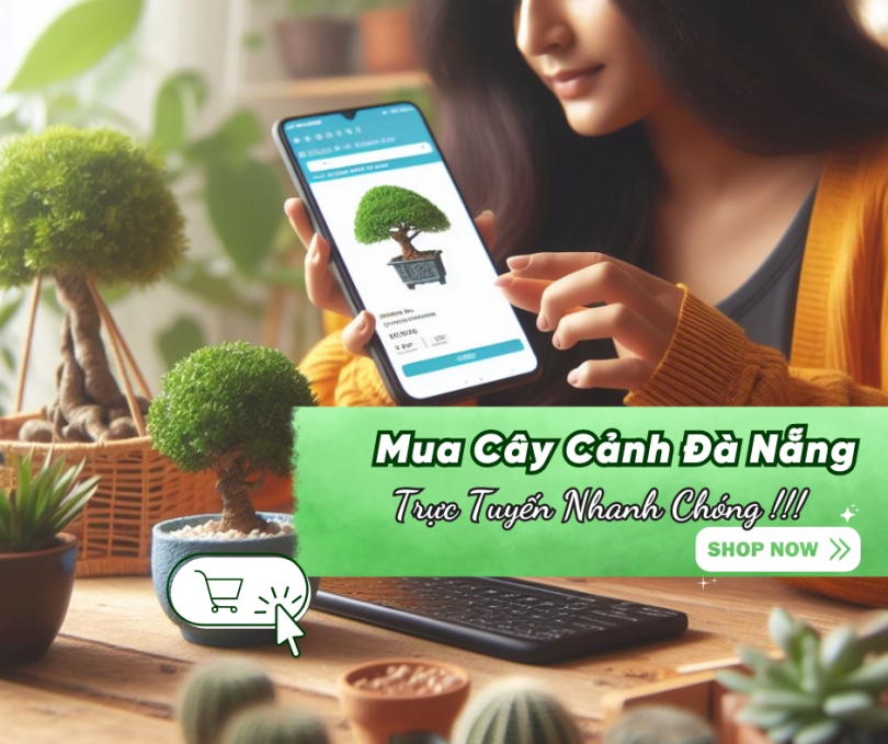 Mua Cay Canh Online Da Nang