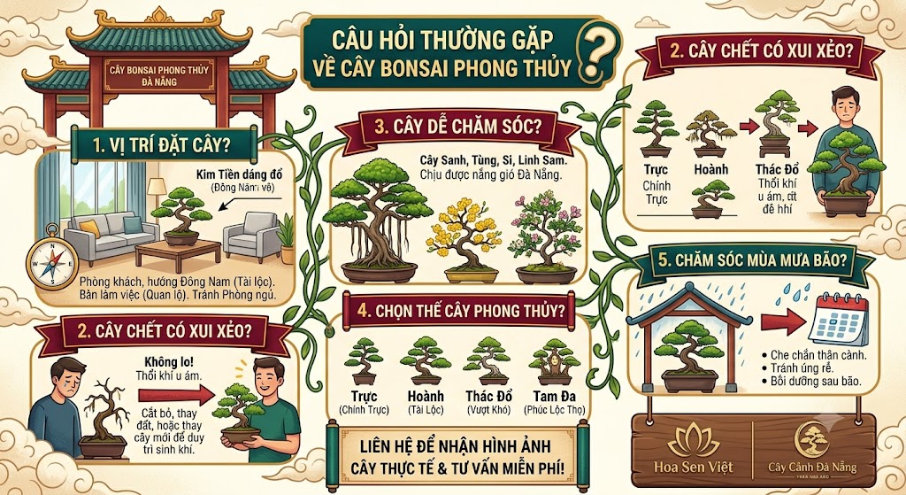 Câu hỏi thường gặp về cây Bonsai phong thủy Đà Nẵng
