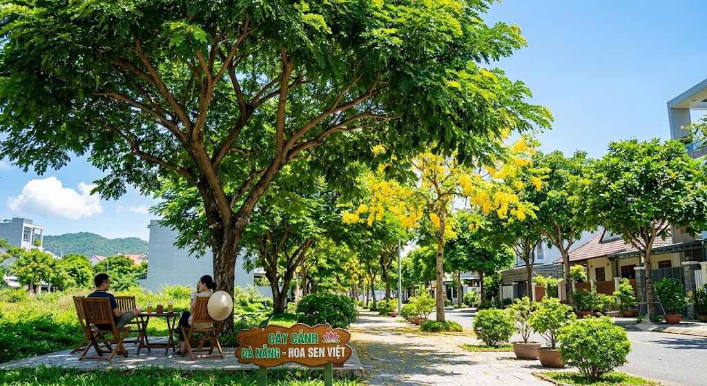 Cây bóng mát đà nẵng