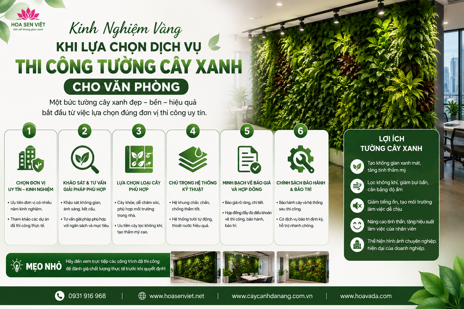 Kinh Nghiệm Vàng Khi Lựa Chọn Dịch Vụ Thi Công Tường Cây Xanh Cho Văn Phòng