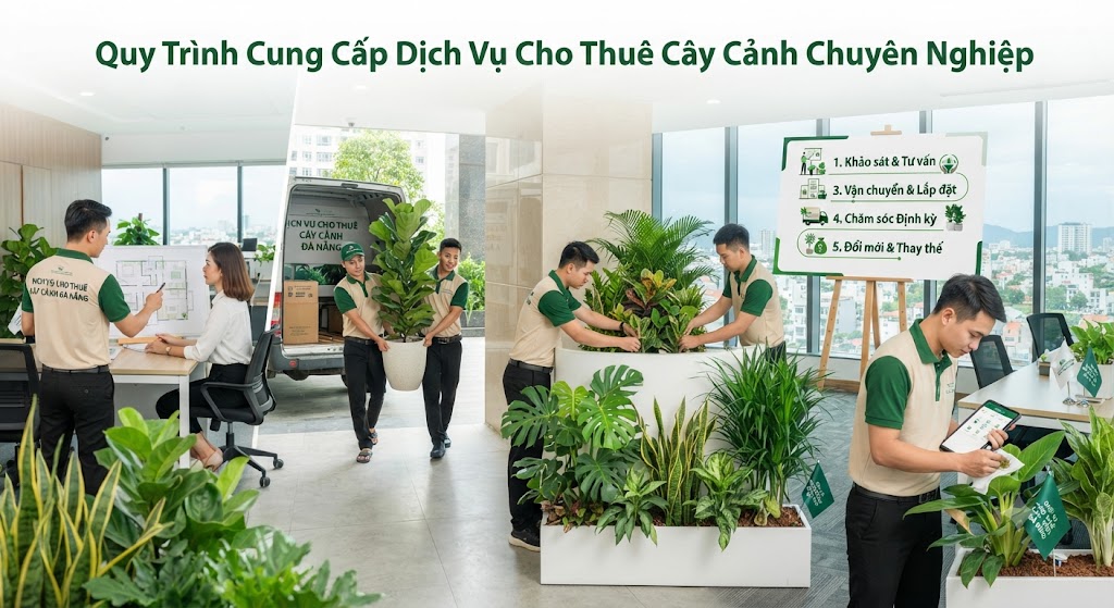 Quy Trình Cung Cấp Dịch Vụ Cho Thuê Cây Cảnh Chuyên Nghiệp
