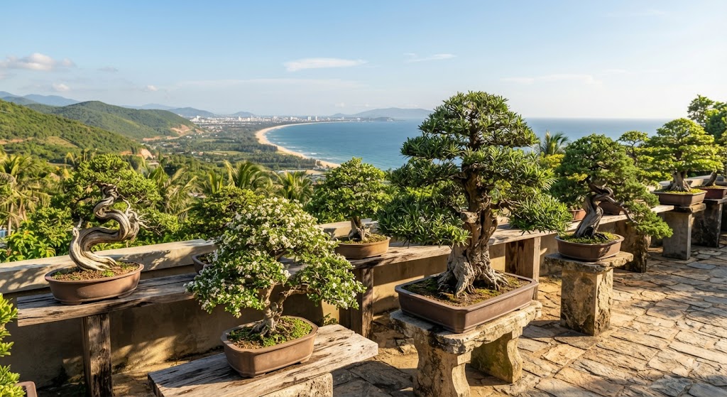 Cây Bonsai Ngoài Trời Phù Hợp Với Khí Hậu Miền Trung