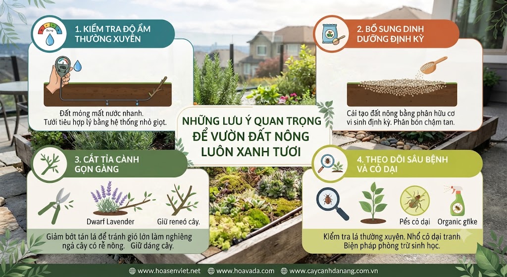 Những Lưu Ý Quan Trọng Để Vườn Đất Nông Luôn Xanh Tươi